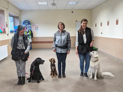 Niepubliczny Ośrodek Edukacji ADEPTUS w Bydgoszczy